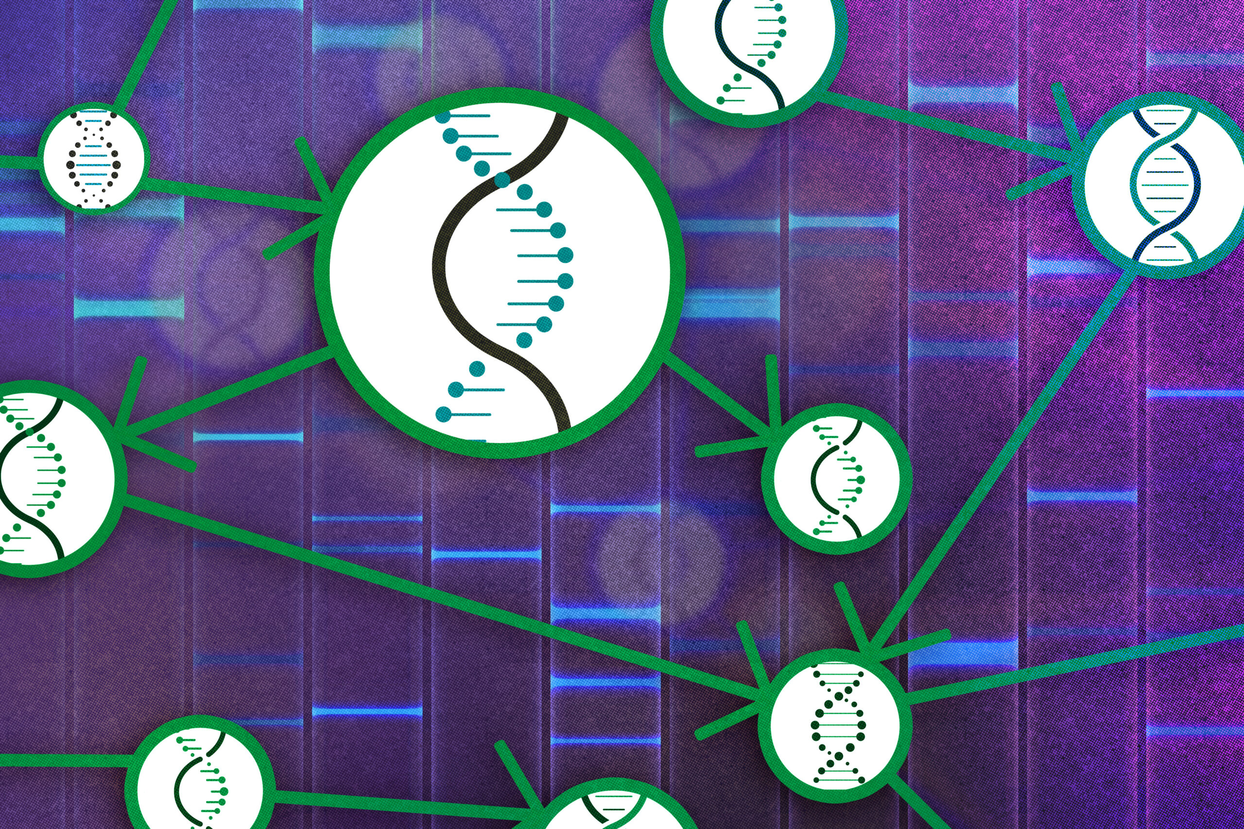 A causal theory for studying the cause-and-effect relationships of genes | MIT News