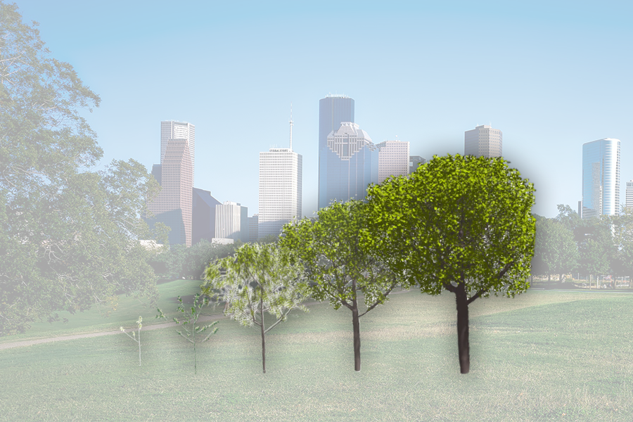 Advancing urban tree monitoring with AI-powered digital twins | MIT News