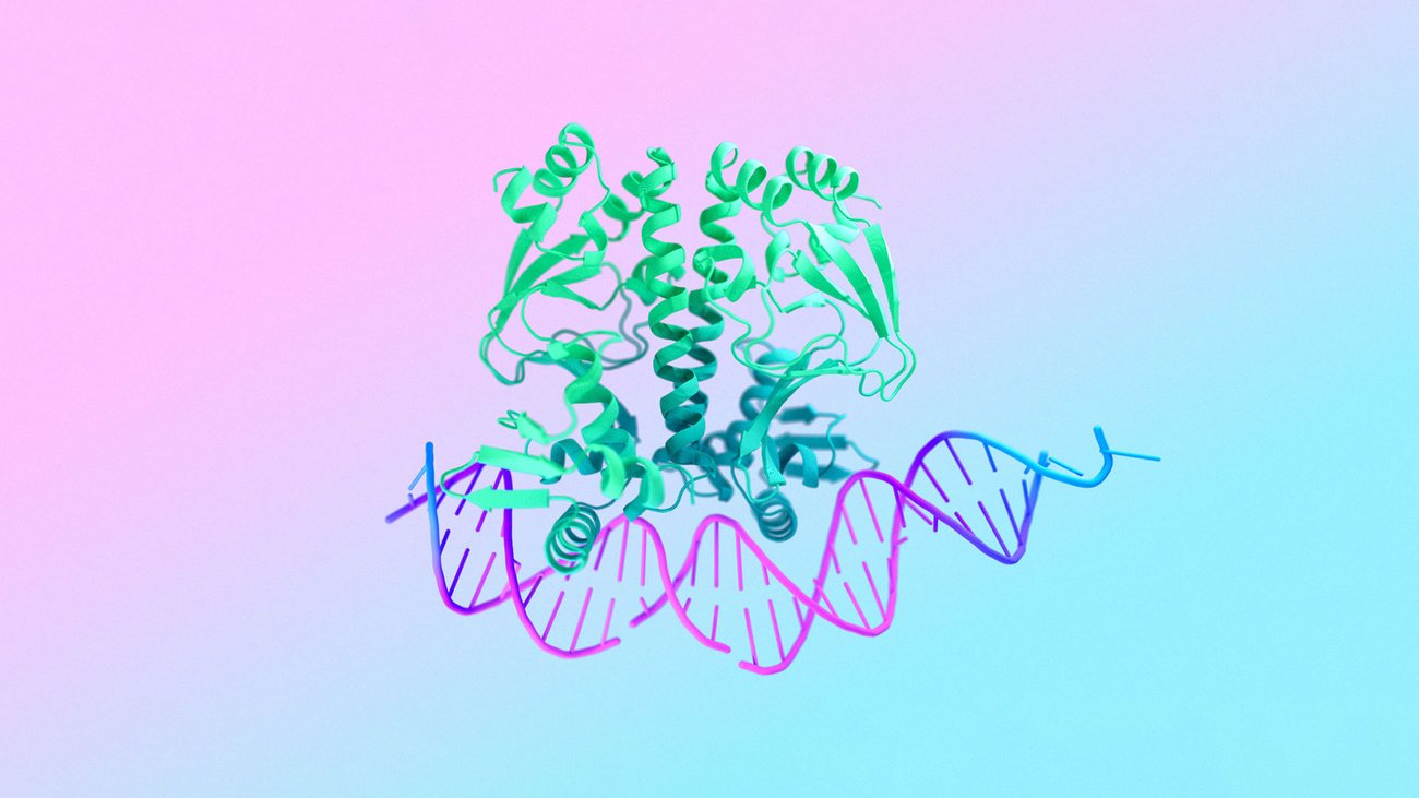 Google DeepMind and Isomorphic Labs introduce AlphaFold 3 AI model
