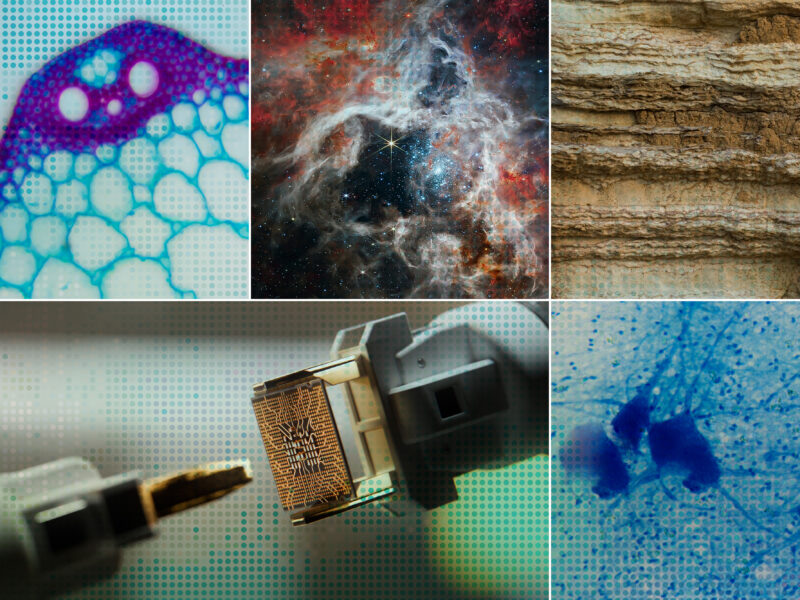 Accelerating scientific discovery with AI | MIT News