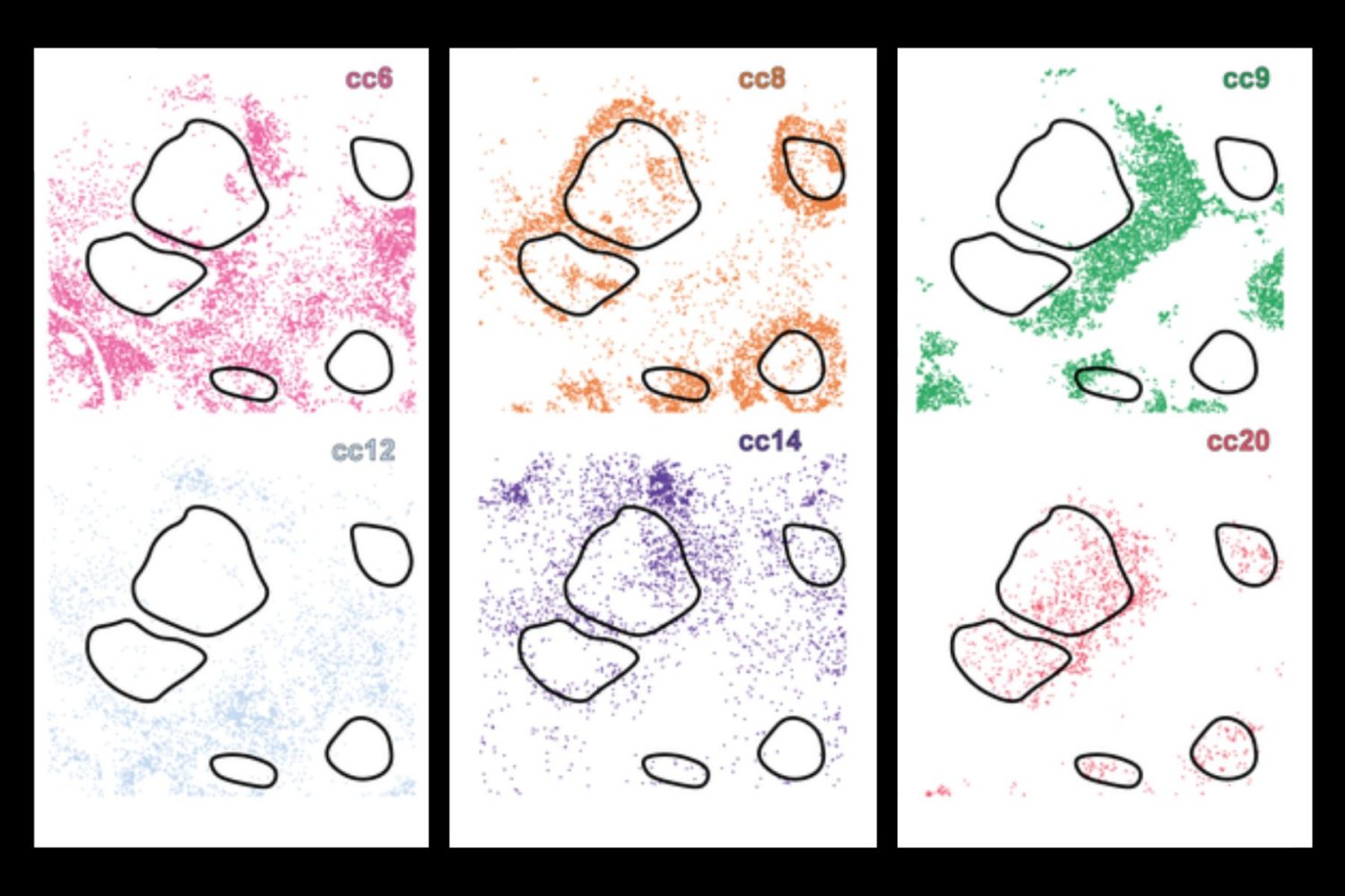 New AI system uncovers hidden cell subtypes, boosts precision medicine | MIT News