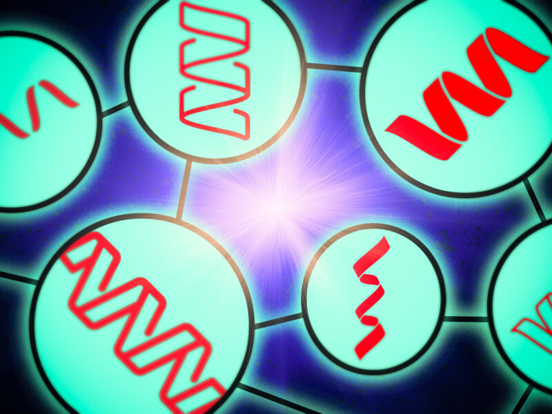 Researchers glimpse the inner workings of protein language models | MIT News
