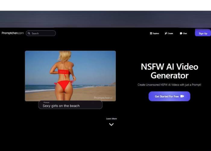 Tried Promptchan Video Generator for 1 Month: My Experience